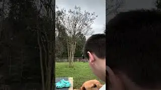 Cutting the grass with my dad