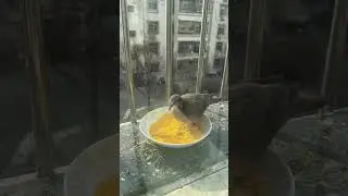 Привередливые едоки 🐦