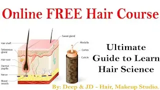 Hair science part 1 - Online free hair course - by: Deep & Jd - hair and makeup Studio.