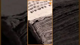 Roots Of Indian Democracy: What The World Learnt From India | Shorts | News9 Plus