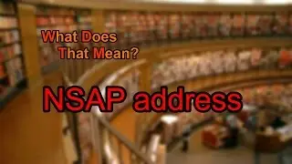 What does NSAP address mean?