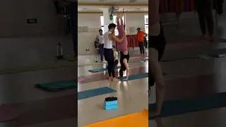 Handstand workshop in Mysore | learn Handstand technique | #handstandflow #yogainstructor
