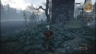 The Witcher 3: Wild Hunt, sweet build