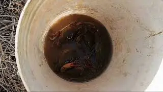 Aktiviti hujung minggu,ngetan pukat & mento ketam.