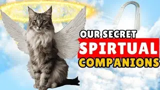 Spiritual Meaning of Cat Coat Colors