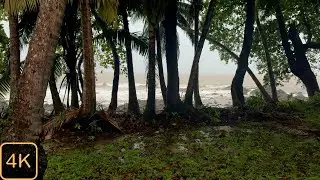 Beachfront Rainstorm ASMR | Rain on Tin Roof & Ocean Waves &mdash; Costa Rica