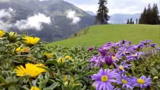 13-08-2014 | Genusswanderung mit Maria | Breitenebenalm - Karseggalm