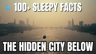 A Quiet History of the Victorian Underworld | London&rsquo;s Great Stink [Deep Dive for Sleep]