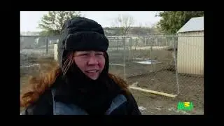 animal cops Houston s9e3￼
