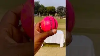 Pink Ball Final🏏✅ #cricket #shorts #ranchi #jamshedpur #trending #youtube #yt #cricketwithmahesh