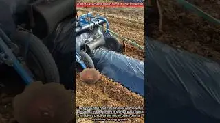 Tractor Lays Plastic Mulch Film for Crop Protection