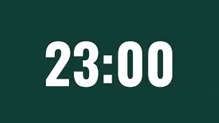 23 MINUTE TIMER/COUNTDOWN