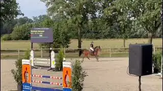 Top schoolmaster - New forst pony 