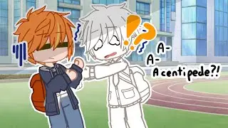 A C- C- Centipede?! || Project Sekai || Akito & Tsukasa