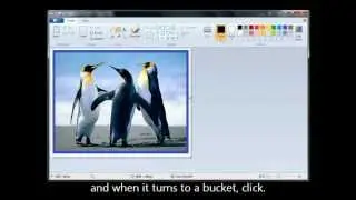 photo editing, using paint to put a border on photo