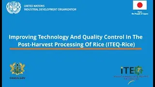 From Innovation to Impact: The UNIDO ITEQ Project in Ghana&rsquo;s Rice Sector