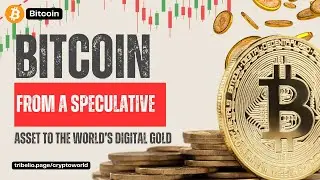 Bitcoin: From a Speculative Asset to the World&rsquo;s Digital Gold