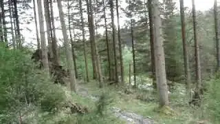 MOV05593
