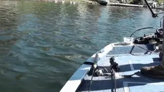 Fall,Deep Water,Big Bluegill Fishing With Chris Ludwig