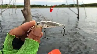 pescaria de tucunaré... MATRIX 65 peguei MUITO PEIXE em pouco TEMPO usando essa ISCA!!