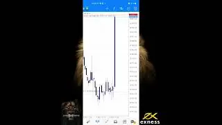 NFP News Trading|Forex Big News|NFP news|