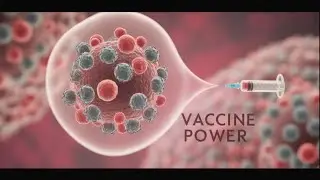 How Does a Vaccine Protect Your Body? (Immune System Training) | Nash Science Explained