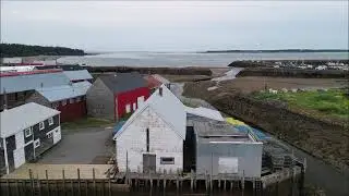 Seal Cove August 2024
