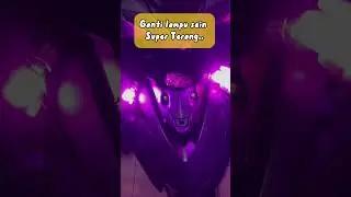 Lampu Sein Super Teraang !! #motorbeat #lampusein #shopee