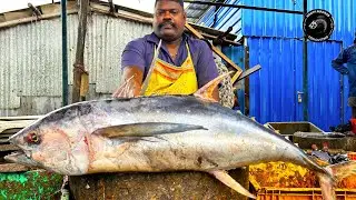 KASIMEDU  🔥 SPEED SELVAM | TUNA FISH 🐟 MASS CUTTING SKILLS | N M FISH CUTTING 🔪