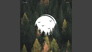Skjul