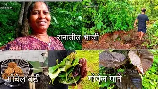 रानात जाऊन आणली वड्यांची पाने,गोवेल पानांची वडी,रान सफारी 🛖🌳#priyapawar #villagelife