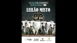 LEILÃO MISTO 12/12/2025 - TOP RIO LEILÕES - RIO PARANAÍBA-MG