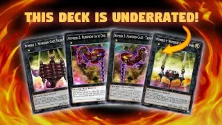 *PURE* Numeron Deck Profile! | November 2020