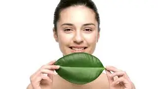 Clean. Green. Ethically-sourced Ingredients