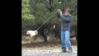 Stability Swing Test of 