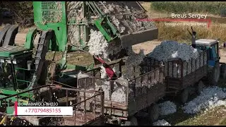 Как работает хлопкоуборочный комбайн: процесс сбора, сортировки и хранения хлопка