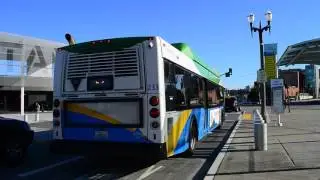 Pierce Transit 2007 New Flyer C40LFR CNG 233 On The 53 @ Pacific Avenue & S 17th Street