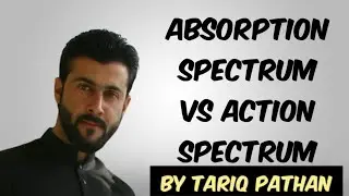 Class 11 Chapter 4 - Absorption Spectrum vs Action Spectrum by Tariq Pathan