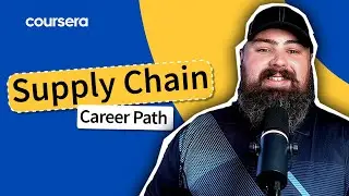 Exploring the Supply Chain Career Path: From Entry-Level to Senior Roles