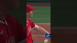 All Dodgers home runs freeway series