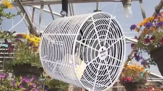 Schaefer 423S1 Galvanized Belt Drive Slantwall Exhaust Fan 42 Inch