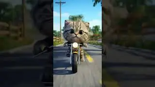 Cute Ai Cat Video #ai #cat #shotsfeed #funny #cute #shots