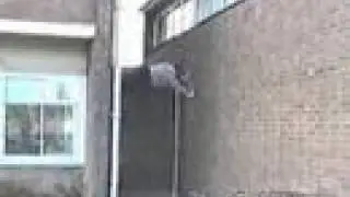 Marcus Shakesheff Stunt Monkey 2