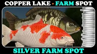 COPPER LAKE - Silver Farm - Russian Fishing 4 - RF4