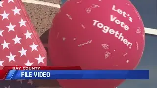 Felon Voting