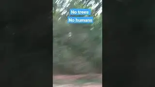 NoTrees No humans