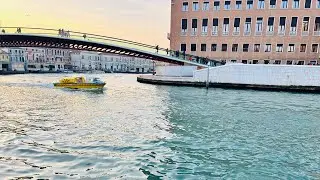 No Ticket - A Day Trip To Venice From Padova