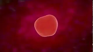 Alpha Particle Animation