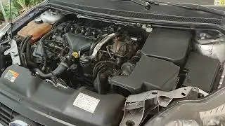 How to locate Ford Focus TDCI chassis number and engine number
