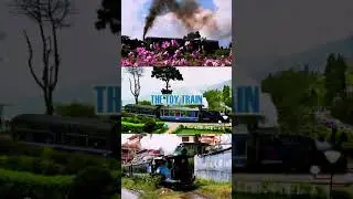 Darjeeling Toy Train - World Heritage